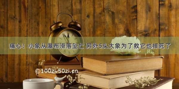 痛心！小象从瀑布滑落坠亡 另外5头大象为了救它也摔死了