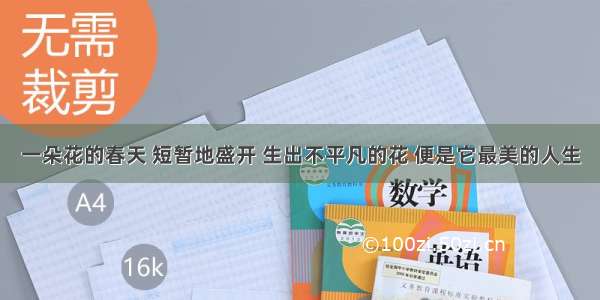 一朵花的春天 短暂地盛开 生出不平凡的花 便是它最美的人生