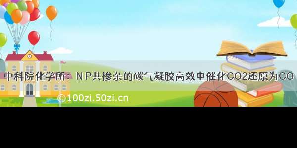 中科院化学所：N P共掺杂的碳气凝胶高效电催化CO2还原为CO