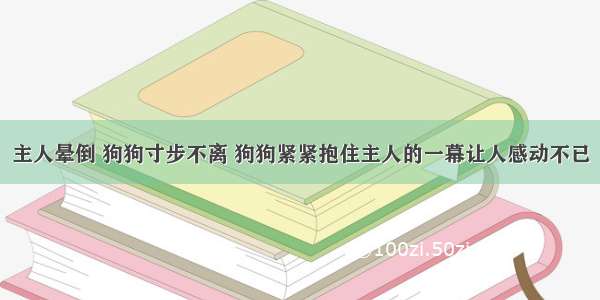 主人晕倒 狗狗寸步不离 狗狗紧紧抱住主人的一幕让人感动不已