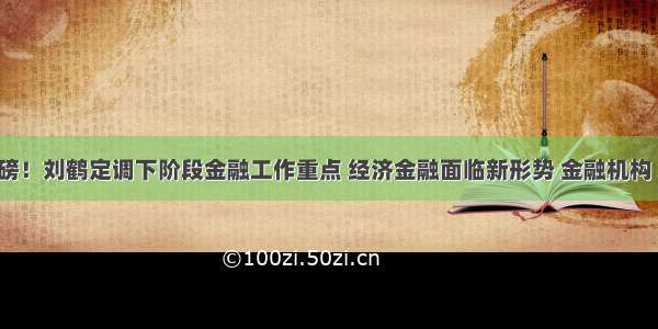 金融委重磅！刘鹤定调下阶段金融工作重点 经济金融面临新形势 金融机构 地方政府 