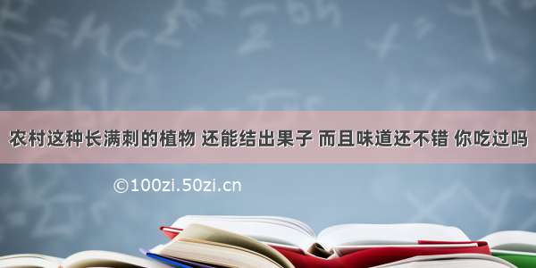 农村这种长满刺的植物 还能结出果子 而且味道还不错 你吃过吗