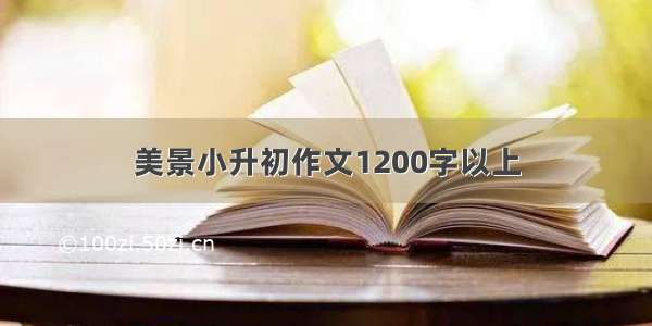 美景小升初作文1200字以上