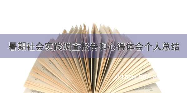 暑期社会实践调查报告和心得体会个人总结