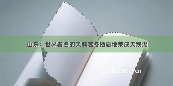 山东：世界着名的天鹅越冬栖息地荣成天鹅湖