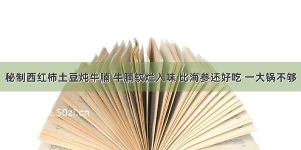 秘制西红柿土豆炖牛腩 牛腩软烂入味 比海参还好吃 一大锅不够