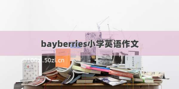 bayberries小学英语作文