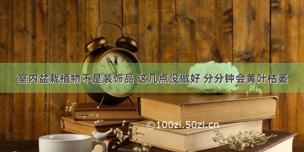 室内盆栽植物不是装饰品 这几点没做好 分分钟会黄叶枯萎