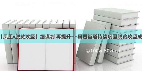 【凤凰•脱贫攻坚】细谋划 再提升——凤凰街道持续巩固脱贫攻坚成效