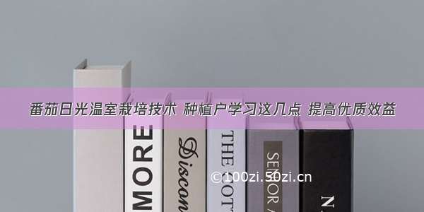 番茄日光温室栽培技术 种植户学习这几点 提高优质效益