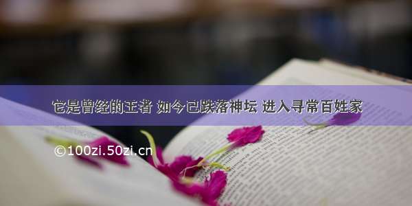 它是曾经的王者 如今已跌落神坛 进入寻常百姓家