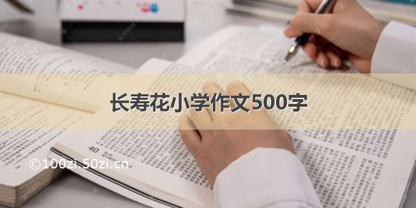 长寿花小学作文500字