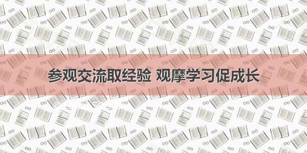 参观交流取经验 观摩学习促成长