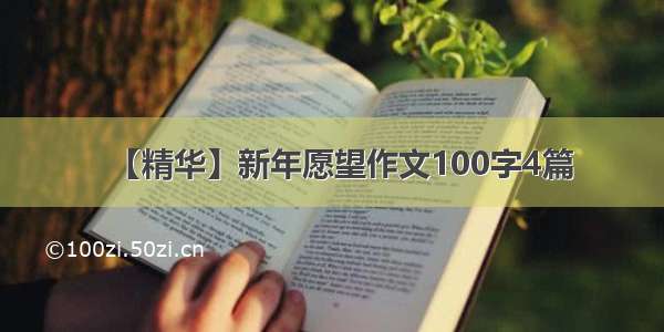 【精华】新年愿望作文100字4篇