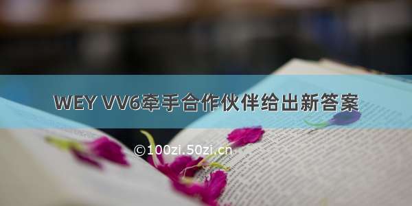 WEY VV6牵手合作伙伴给出新答案