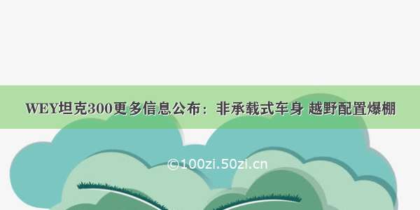 WEY坦克300更多信息公布：非承载式车身 越野配置爆棚