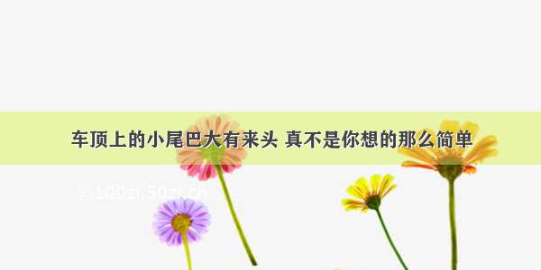 车顶上的小尾巴大有来头 真不是你想的那么简单