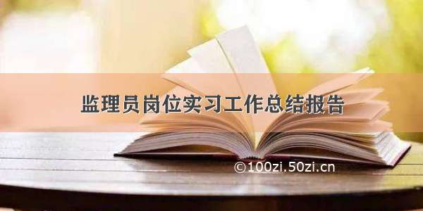 监理员岗位实习工作总结报告