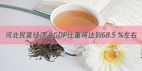 河北民营经济占GDP比重将达到68.5 %左右