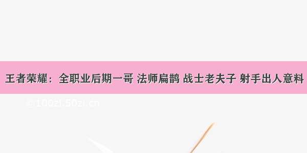 王者荣耀：全职业后期一哥 法师扁鹊 战士老夫子 射手出人意料