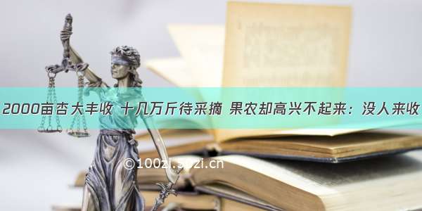 2000亩杏大丰收 十几万斤待采摘 果农却高兴不起来：没人来收