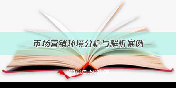 市场营销环境分析与解析案例