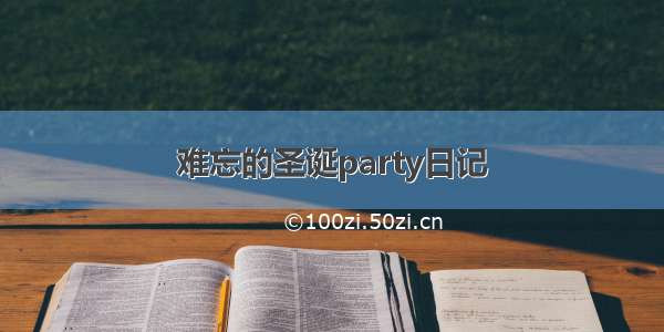 难忘的圣诞party日记