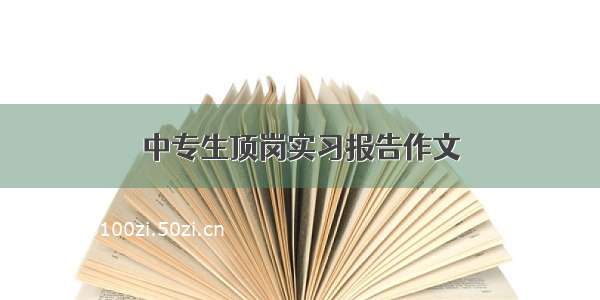 中专生顶岗实习报告作文