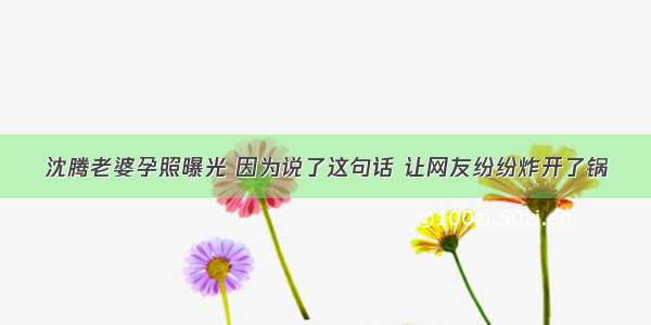 沈腾老婆孕照曝光 因为说了这句话 让网友纷纷炸开了锅