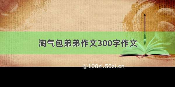 淘气包弟弟作文300字作文