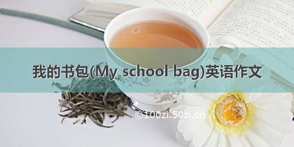 我的书包(My school bag)英语作文