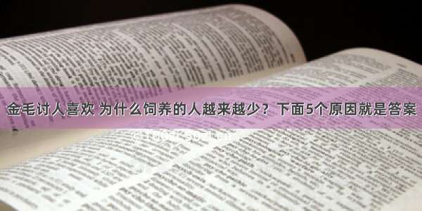 金毛讨人喜欢 为什么饲养的人越来越少？下面5个原因就是答案