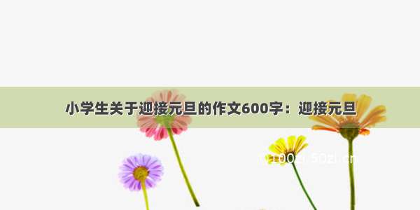 小学生关于迎接元旦的作文600字：迎接元旦