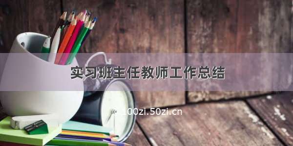 实习班主任教师工作总结