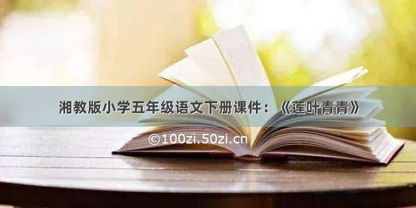 湘教版小学五年级语文下册课件：《莲叶青青》