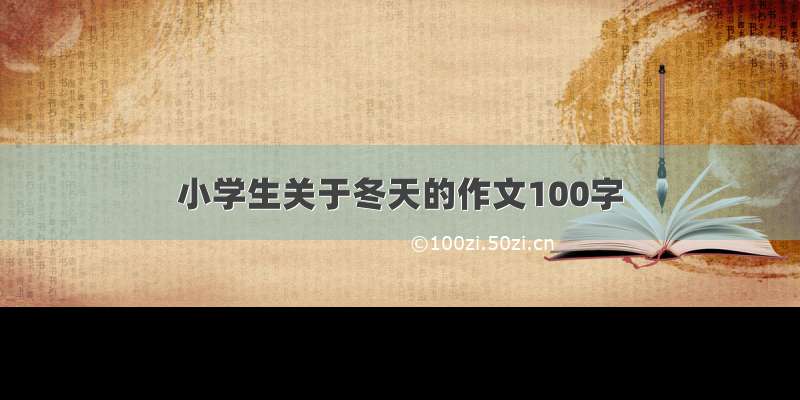 小学生关于冬天的作文100字