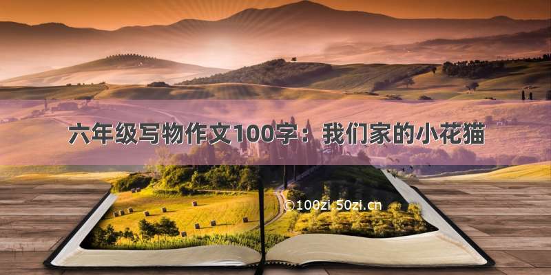 六年级写物作文100字：我们家的小花猫