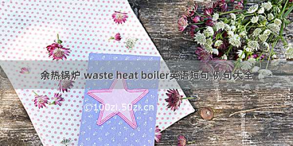 余热锅炉 waste heat boiler英语短句 例句大全