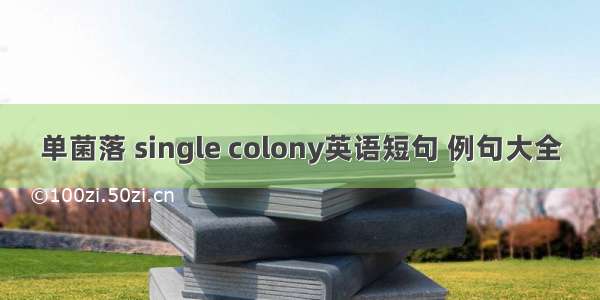 单菌落 single colony英语短句 例句大全