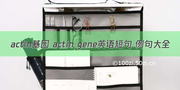 actin基因 actin gene英语短句 例句大全