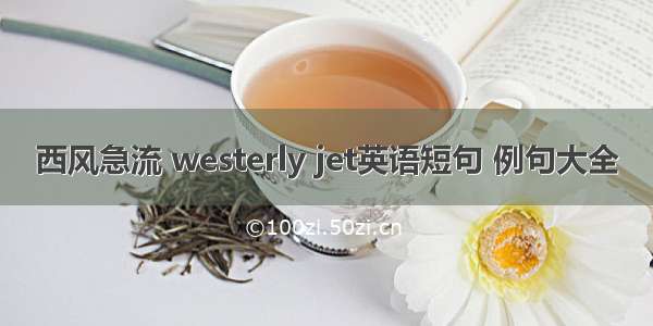 西风急流 westerly jet英语短句 例句大全