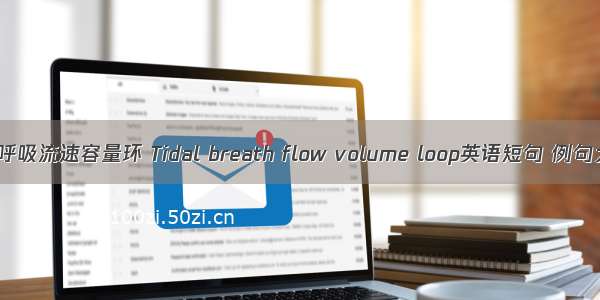 潮气呼吸流速容量环 Tidal breath flow volume loop英语短句 例句大全