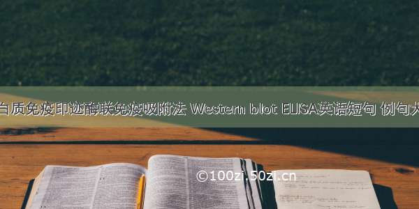 蛋白质免疫印迹酶联免疫吸附法 Western blot ELISA英语短句 例句大全