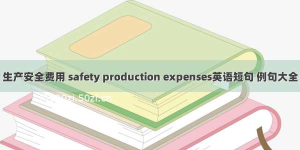 生产安全费用 safety production expenses英语短句 例句大全