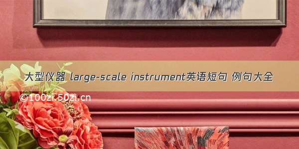 大型仪器 large-scale instrument英语短句 例句大全