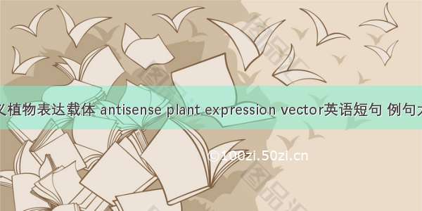 反义植物表达载体 antisense plant expression vector英语短句 例句大全