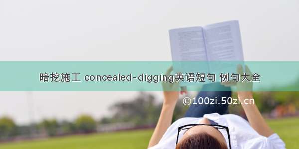 暗挖施工 concealed-digging英语短句 例句大全