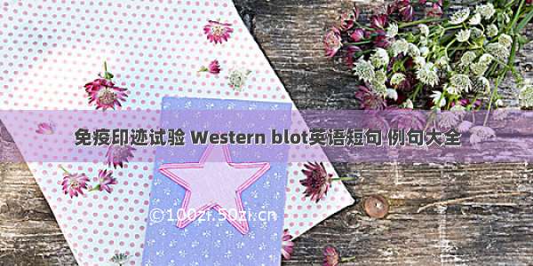 免疫印迹试验 Western blot英语短句 例句大全