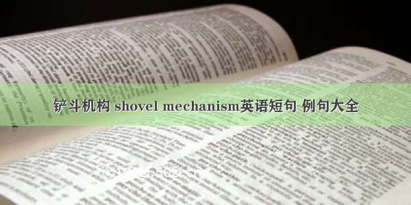 铲斗机构 shovel mechanism英语短句 例句大全