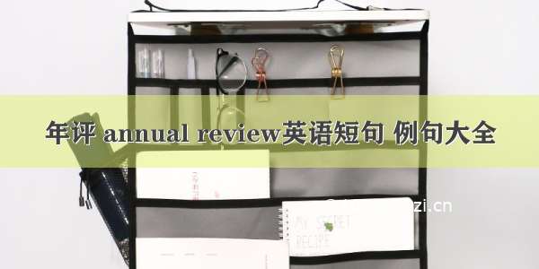 年评 annual review英语短句 例句大全